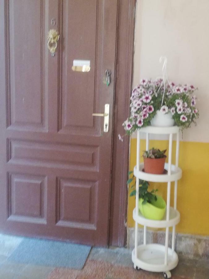 Galeria Apartman Szeged Eksteriør billede